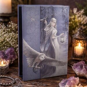 Mystical Fantasy Fae Storage Box | Fairy Owl Art Trinket Keepsake Box